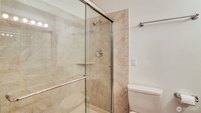 full bathroom featuring toilet and a shower stall