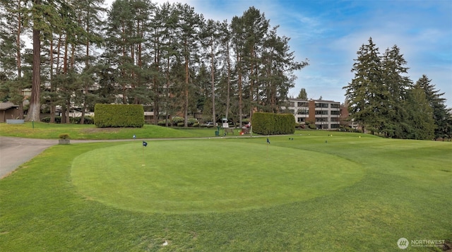 view of property's community featuring a lawn and golf course view