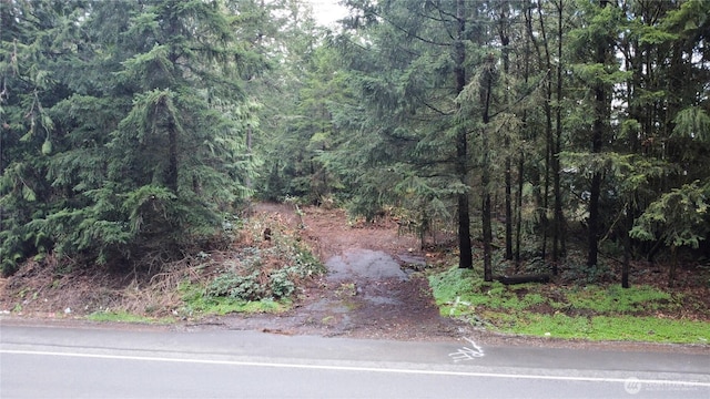 21621 S Prairie Rd E, Bonney Lake, WA 98391 - photo 4