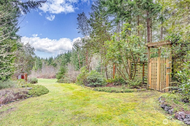 view of yard with a forest view