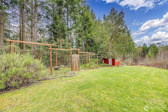 view of yard with a storage shed and an outdoor structure