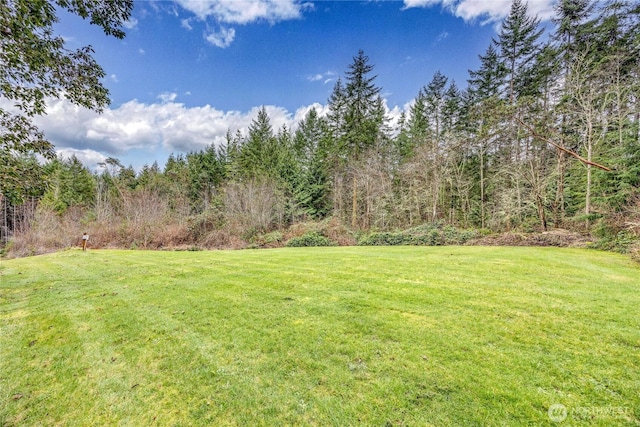 view of yard with a wooded view