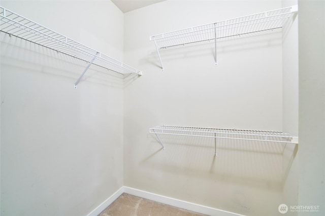 spacious closet with carpet