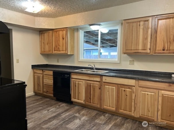 kitchen with dark wood finished floors, dark countertops, and black dishwasher