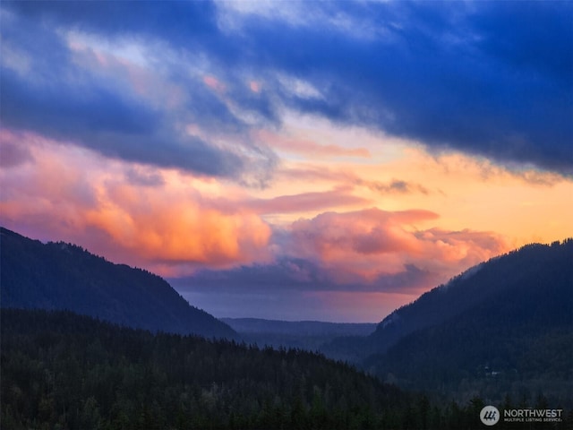 mountain view featuring a forest view