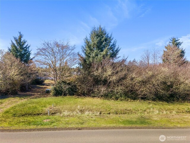 599 E Chance A La Mer NE, Ocean Shores, WA 98569 - photo 5