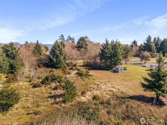 599 E Chance A La Mer NE, Ocean Shores, WA 98569 - photo 10