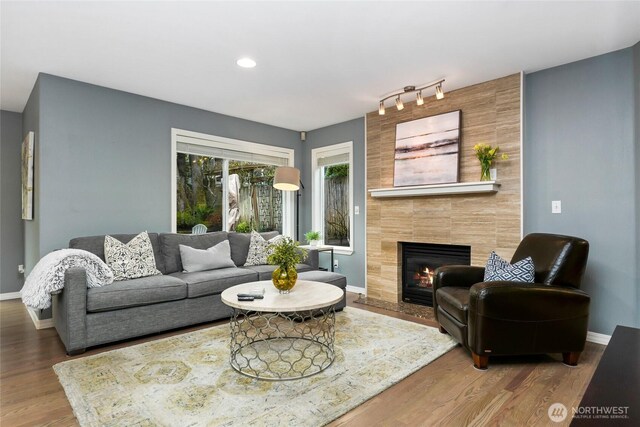 living area featuring baseboards, track lighting, wood finished floors, and a fireplace