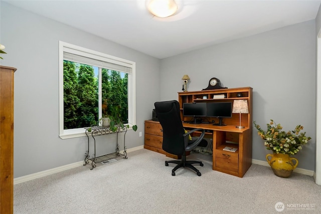 office area with carpet and baseboards