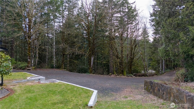 view of street featuring a wooded view