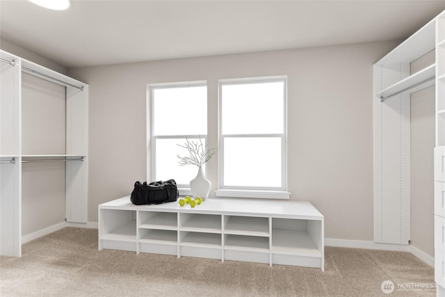 spacious closet featuring light colored carpet