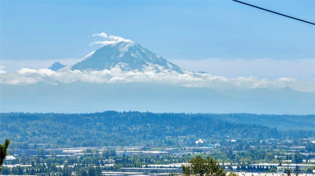 view of mountain feature featuring a wooded view