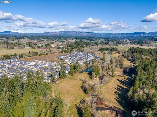 drone / aerial view featuring a mountain view