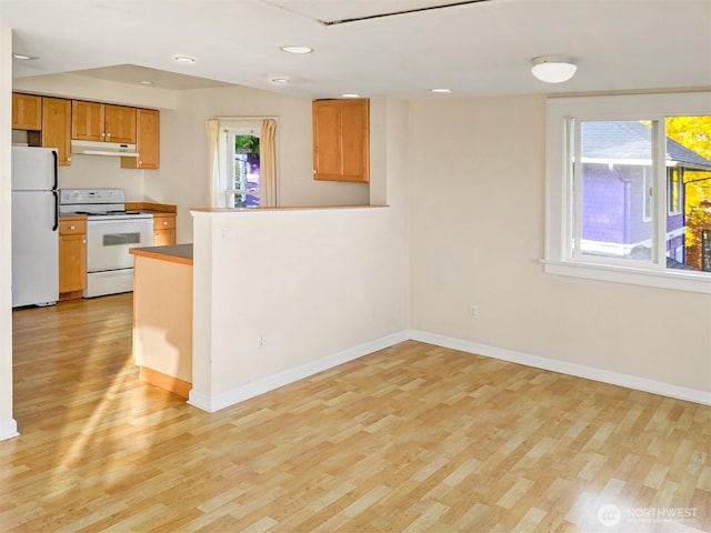 kitchen with baseboards, under cabinet range hood, light wood-type flooring, a peninsula, and white appliances