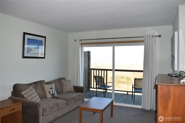 view of carpeted living area