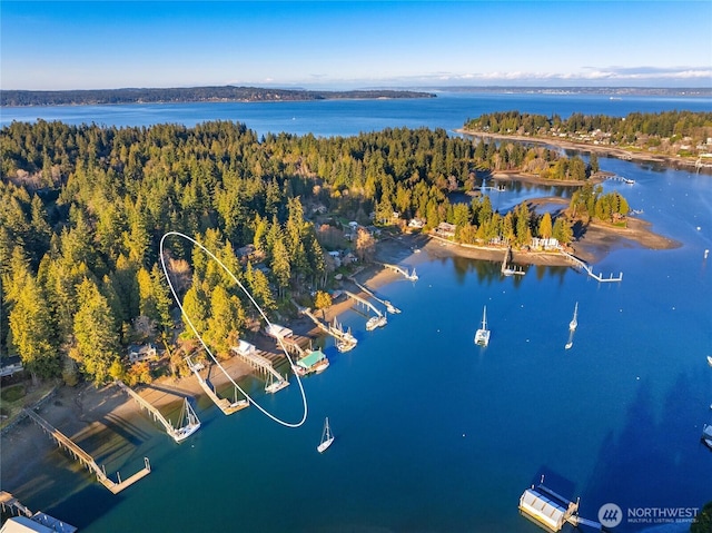 drone / aerial view featuring a water view and a wooded view