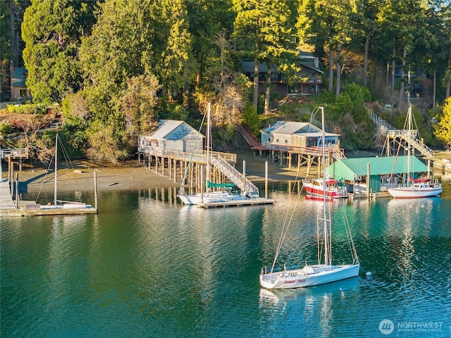 dock area featuring a water view