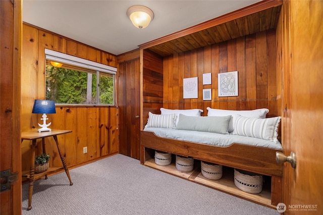 living area with wooden walls and carpet flooring