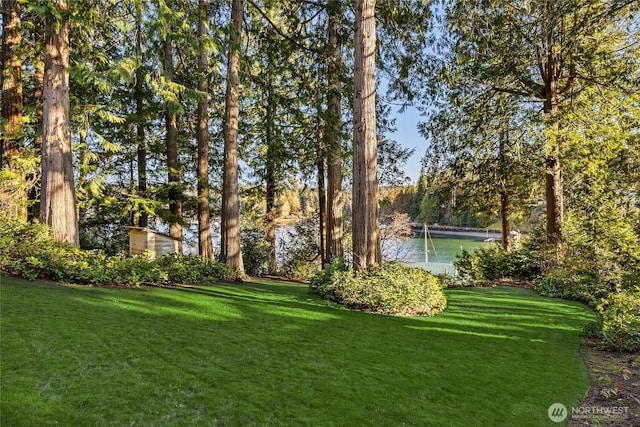 view of yard featuring a water view