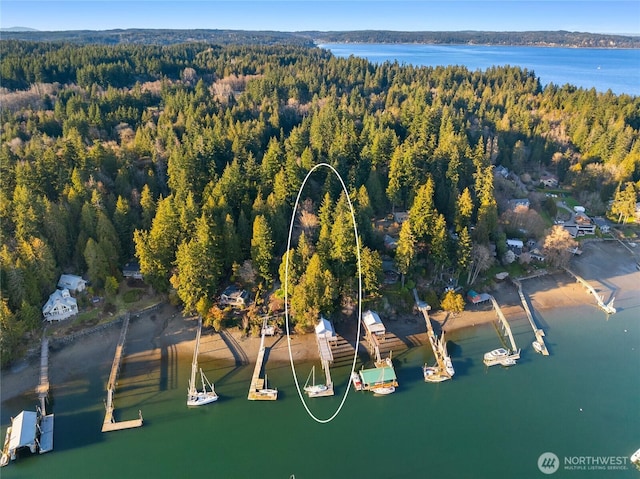 birds eye view of property with a forest view and a water view