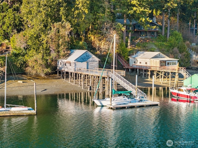 dock area with a water view