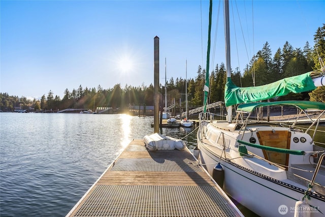 dock area featuring a water view