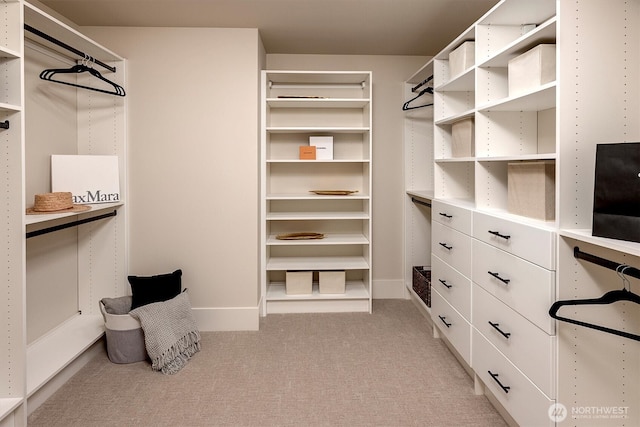 spacious closet with light colored carpet