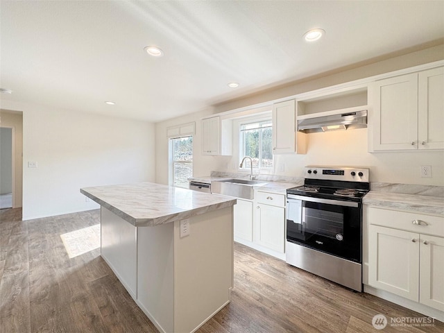 kitchen with a sink, stainless steel appliances, wood finished floors, and range hood