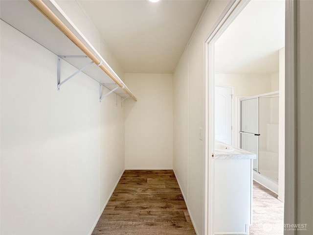 walk in closet featuring wood finished floors