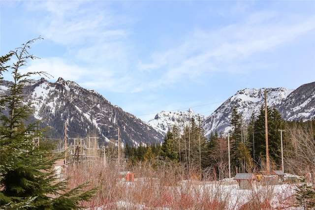 view of mountain feature