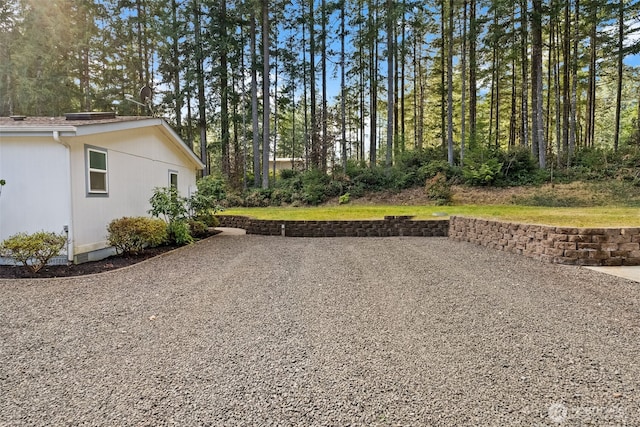 view of yard featuring a patio and driveway