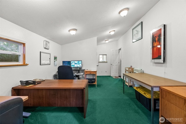 home office with a textured ceiling, lofted ceiling, and carpet floors