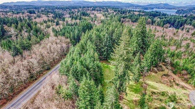 drone / aerial view with a mountain view and a forest view