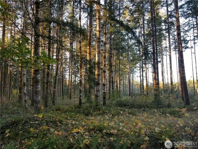 view of local wilderness featuring a forest view