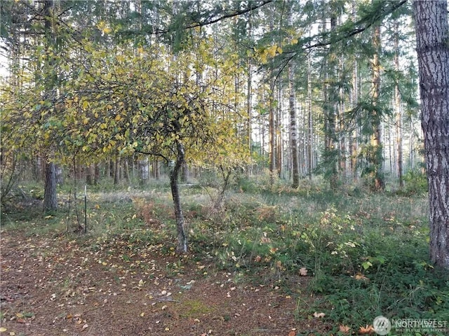 view of landscape featuring a forest view