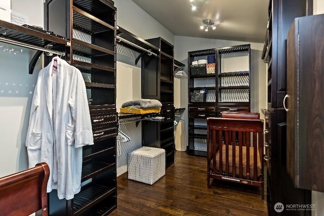 spacious closet with lofted ceiling and wood finished floors