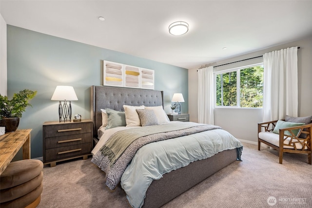 bedroom with baseboards and carpet floors