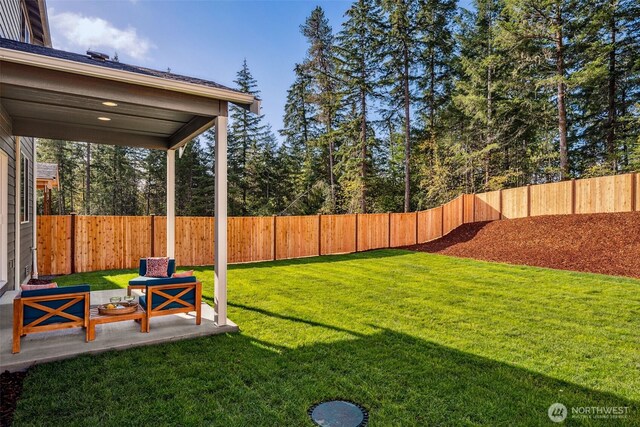 view of yard with a patio and a fenced backyard