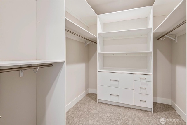 spacious closet featuring light colored carpet