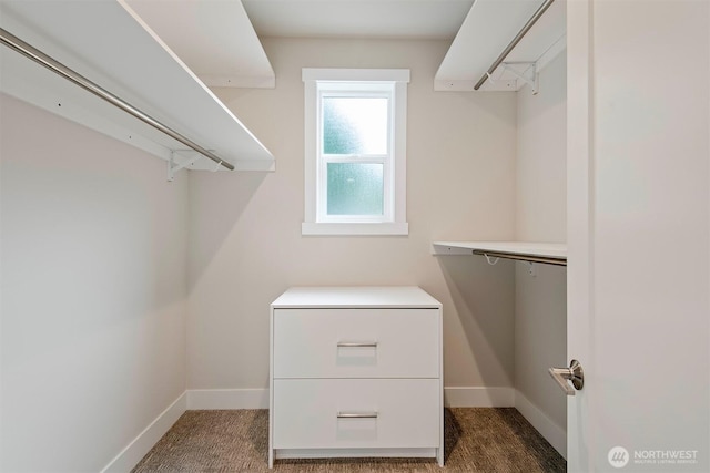 spacious closet with carpet flooring