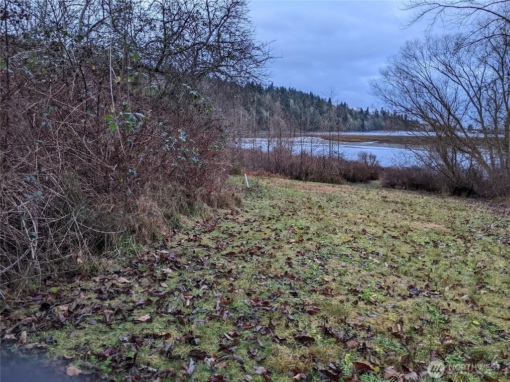 view of yard with a forest view and a water view