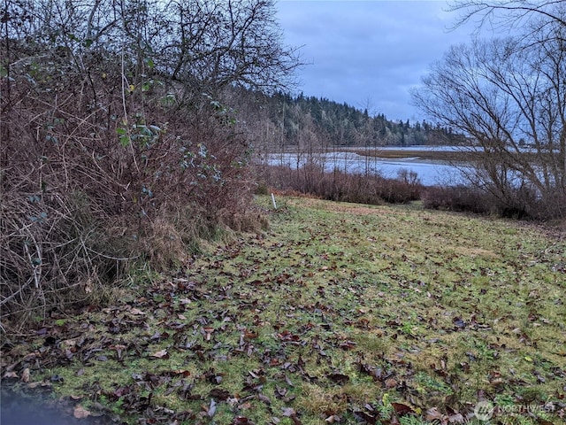 view of yard featuring a forest view and a water view