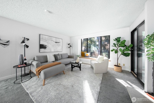 living room featuring baseboards, a textured ceiling, and carpet