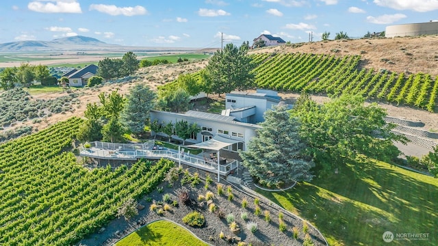 aerial view with a rural view