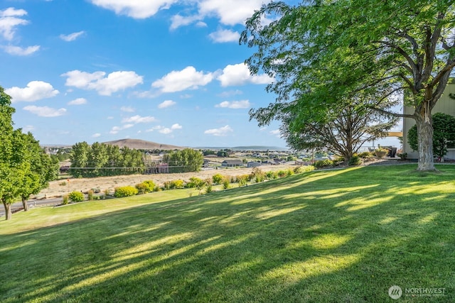 view of yard featuring a mountain view
