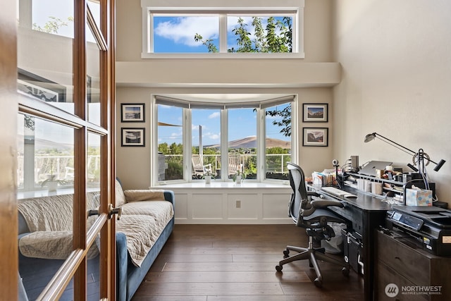 office featuring a high ceiling and dark wood finished floors