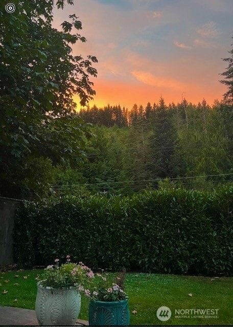 view of yard at dusk