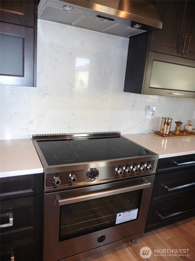 kitchen featuring stainless steel range, exhaust hood, light countertops, and tasteful backsplash