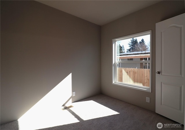 spare room with carpet floors