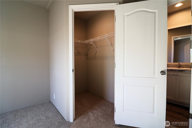 closet with a sink